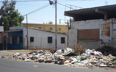 1566 3 d basura